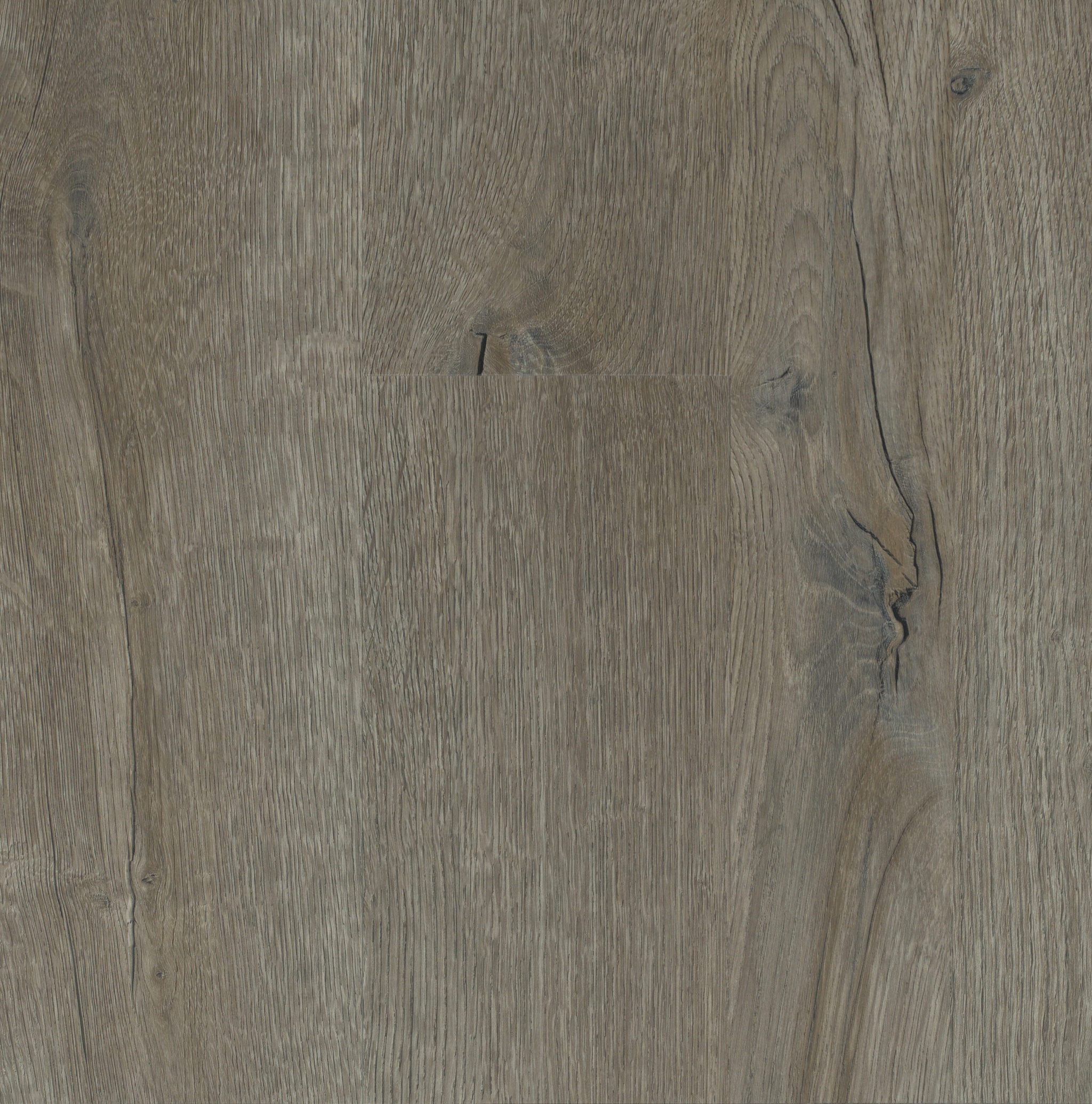 Flooring-plancher-palmera-2665-palm-beach