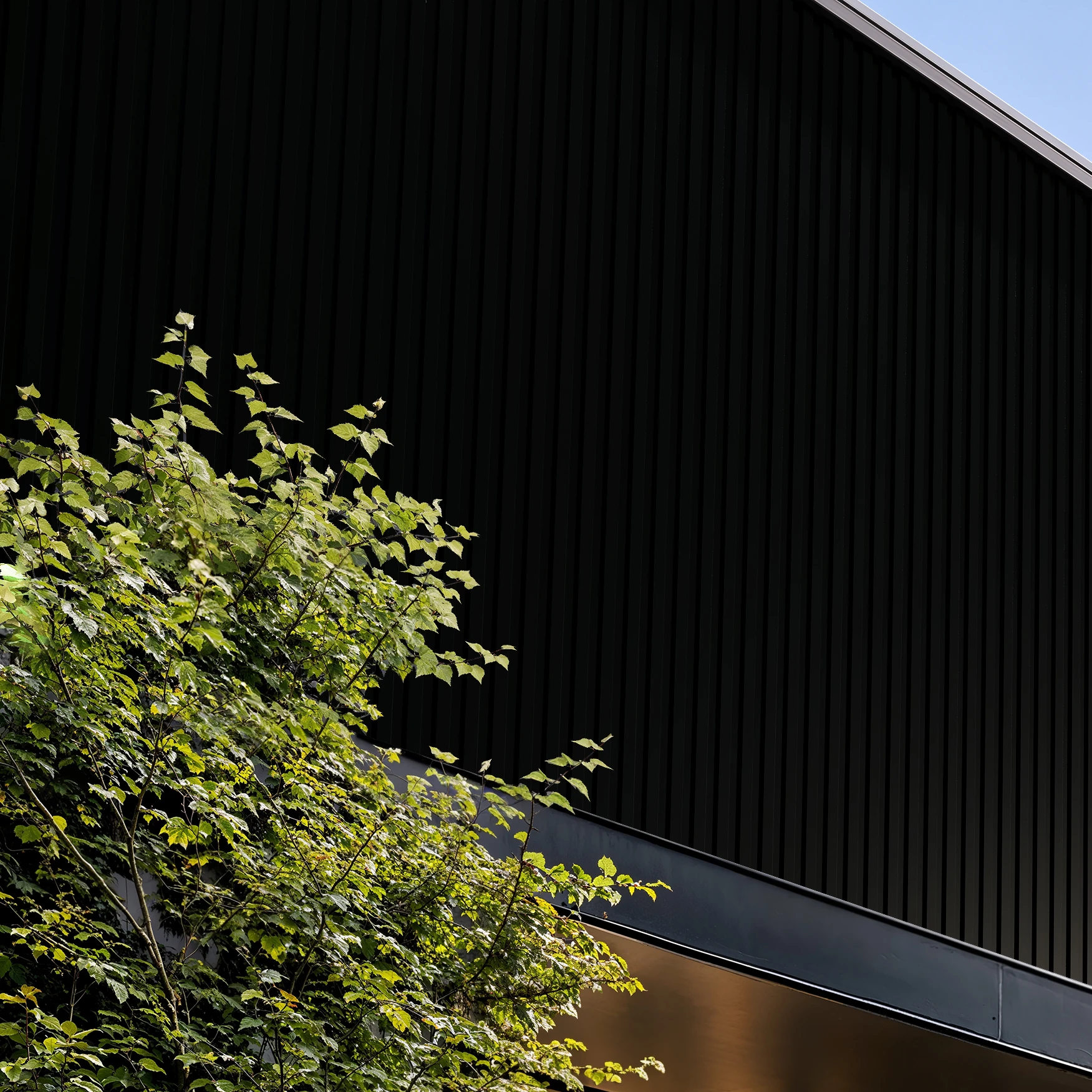Visualisation de Mate Black Wes-Trix® WT1 Revêtement mural extérieur par Western States Metal Roofing