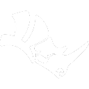 Rhino