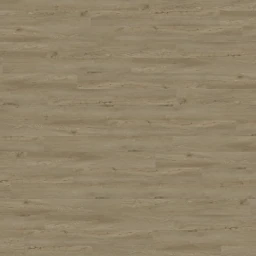 palmera-2671-amira