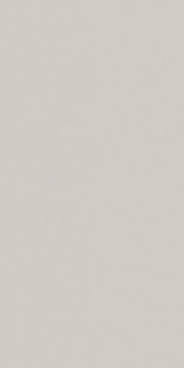 Pionite a Panolam Brand Mist Laminate Texture