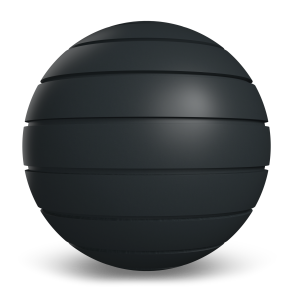 Western States Metal Roofing Black Zinc Western Reveal 2.0 Texture