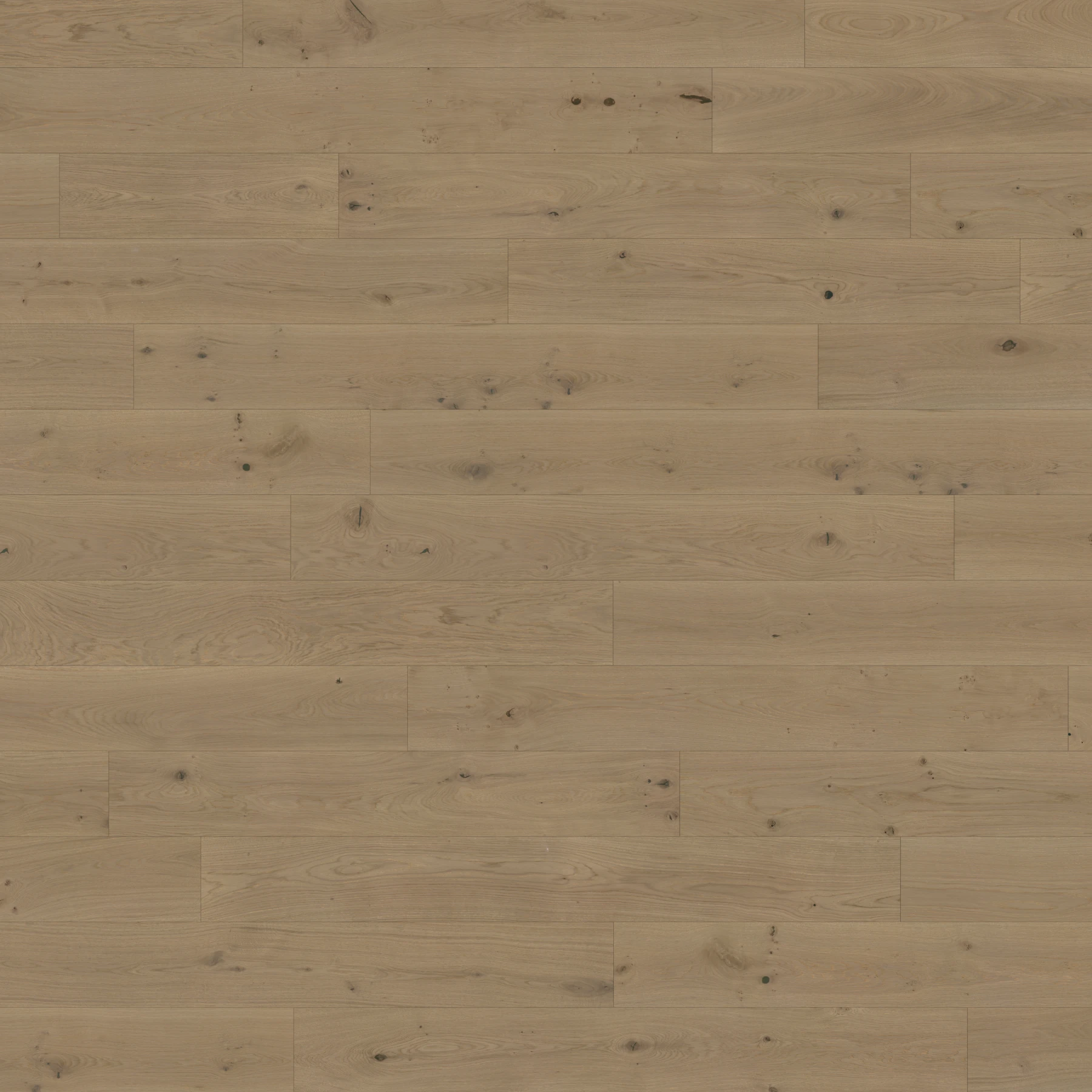 Surface de European Wood Collection Lumiere Revêtement de sol par European Company