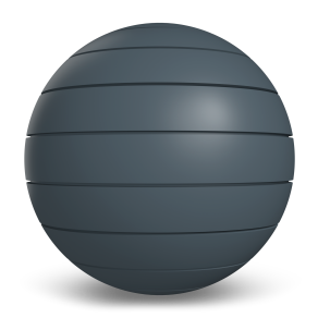 Western States Metal Roofing Gunmetal Gray Western Reveal 1.0