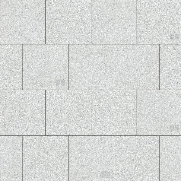Banas Stones Granite Salt and Pepper (24x24) Stone Paver Texture