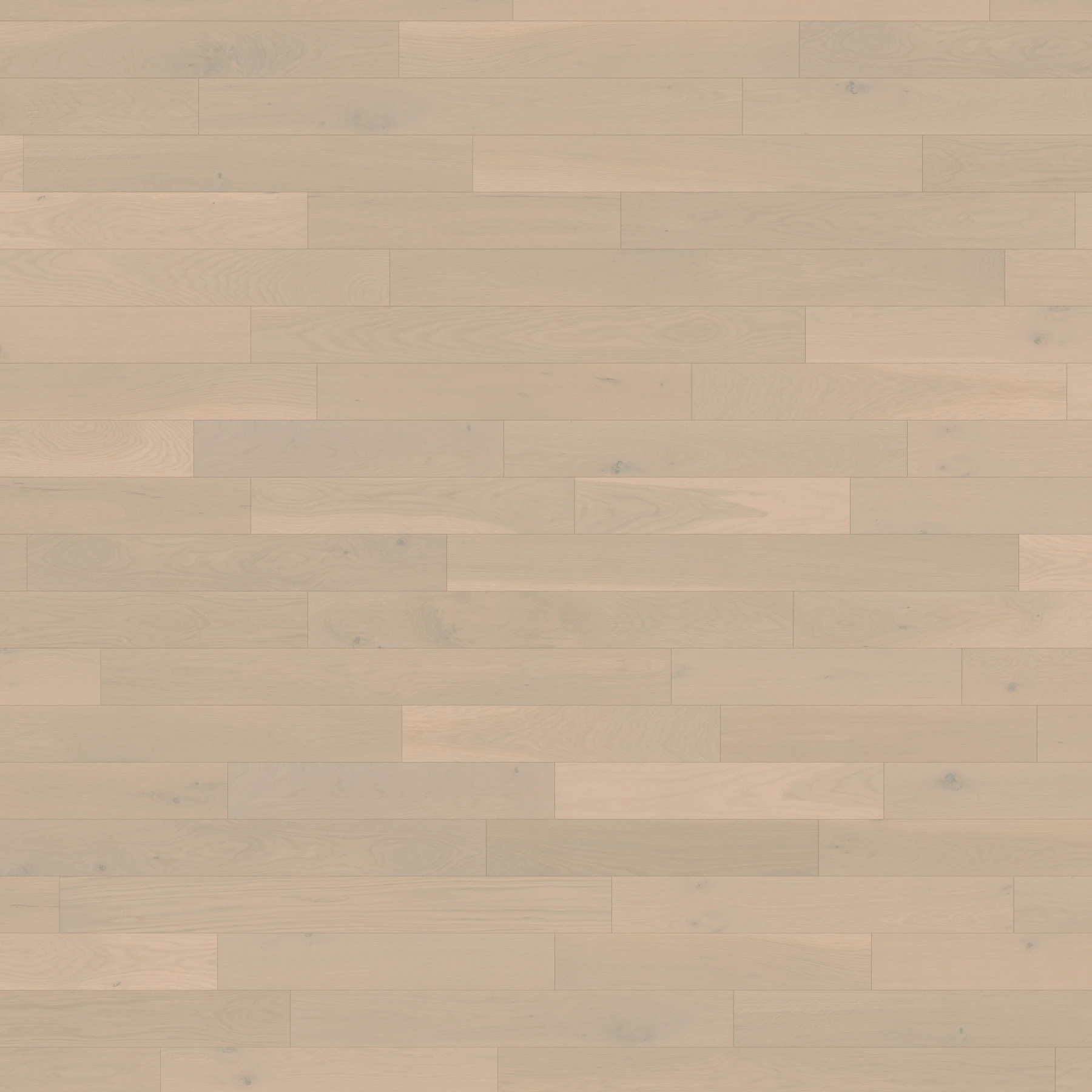 Surface de Chêne Blanc Magnolia Caractère Brossé Mat Revêtement de sol par Alexandra Hardwood Flooring