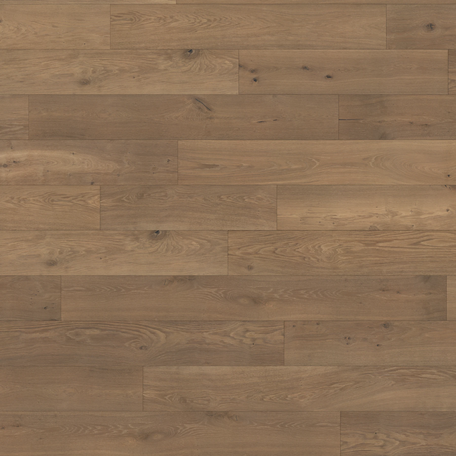 Apogee European Oak - Pelister 9.5" Wood Floor Indoor Flooring surface by Denali Hardwood Floors