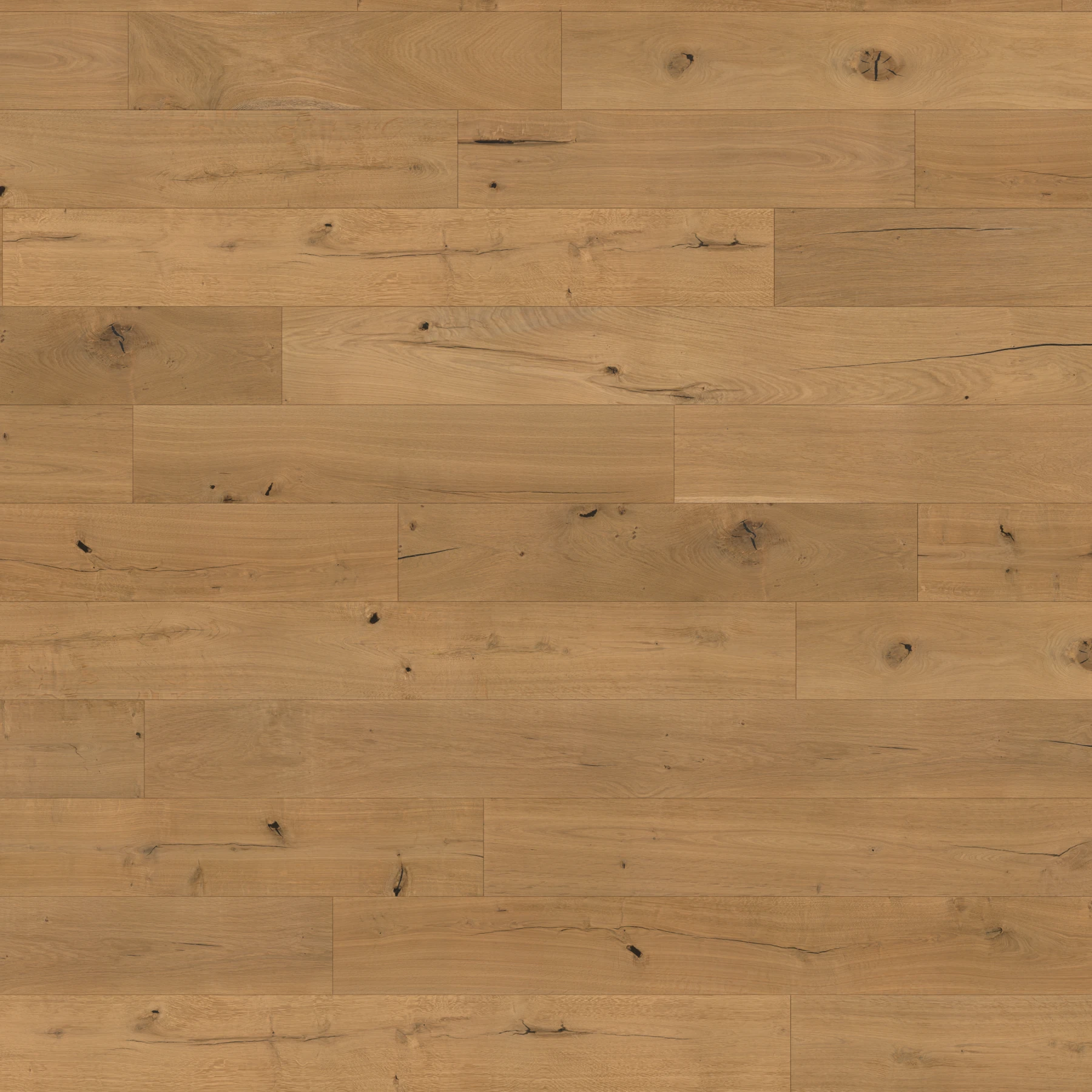 Surface de Mason European Oak - Trestle 8.625" Couvre-plancher intérieur par Denali Hardwood Floors