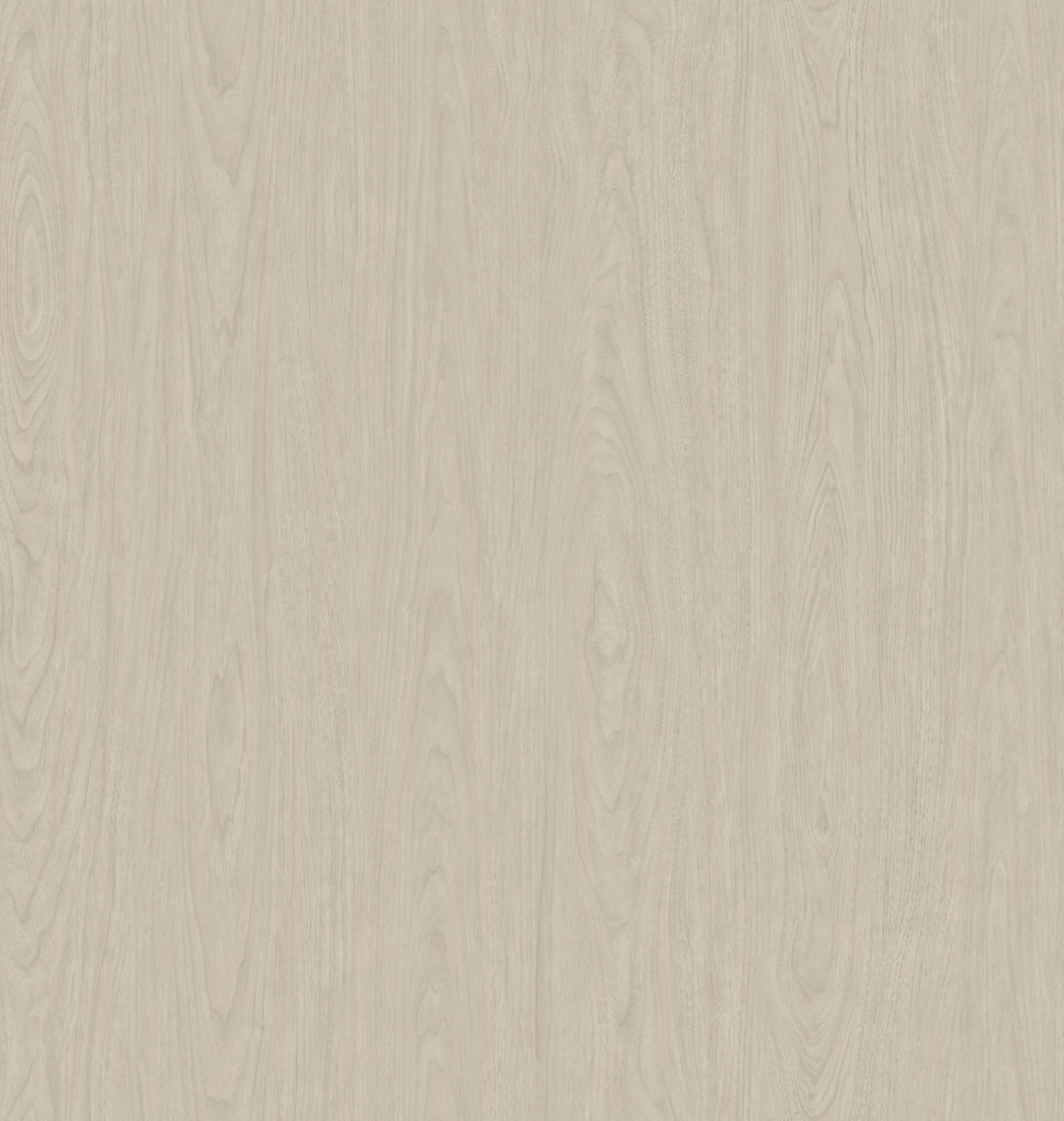Tidal Sand Ash Woodgrain Laminate Cabinets surface by Pionite a Panolam Brand
