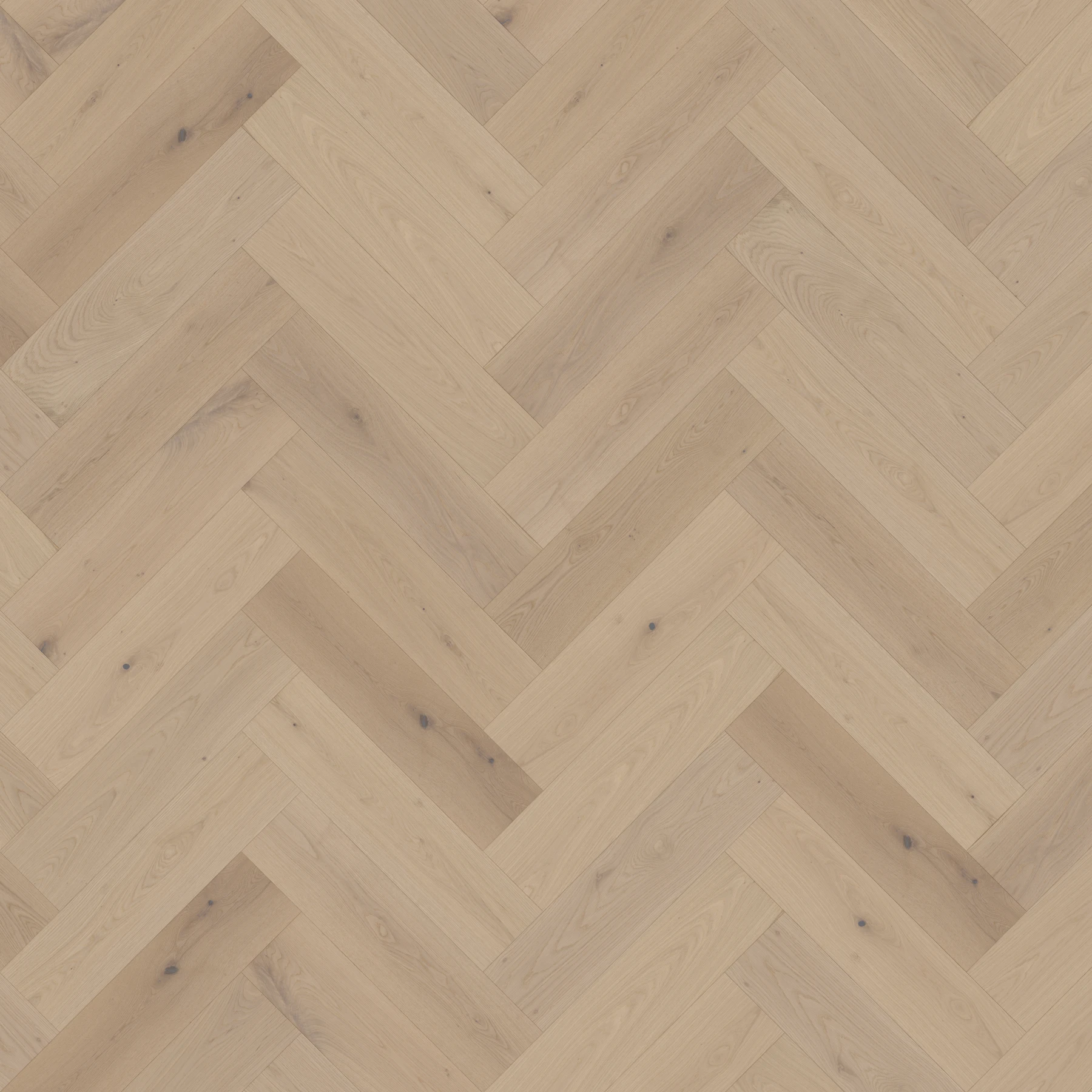 Velasario M195908 Regatta︱Herringbone Wood Floor Indoor Flooring surface by Real Wood Floors