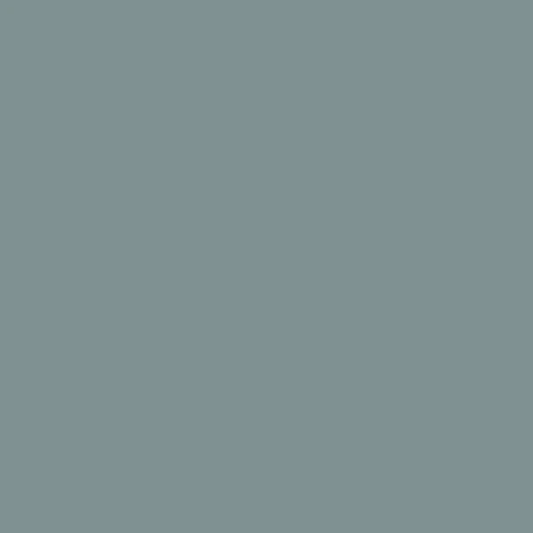Sublime Supramat Antibactérien 3015 Vert Macaron Texture
