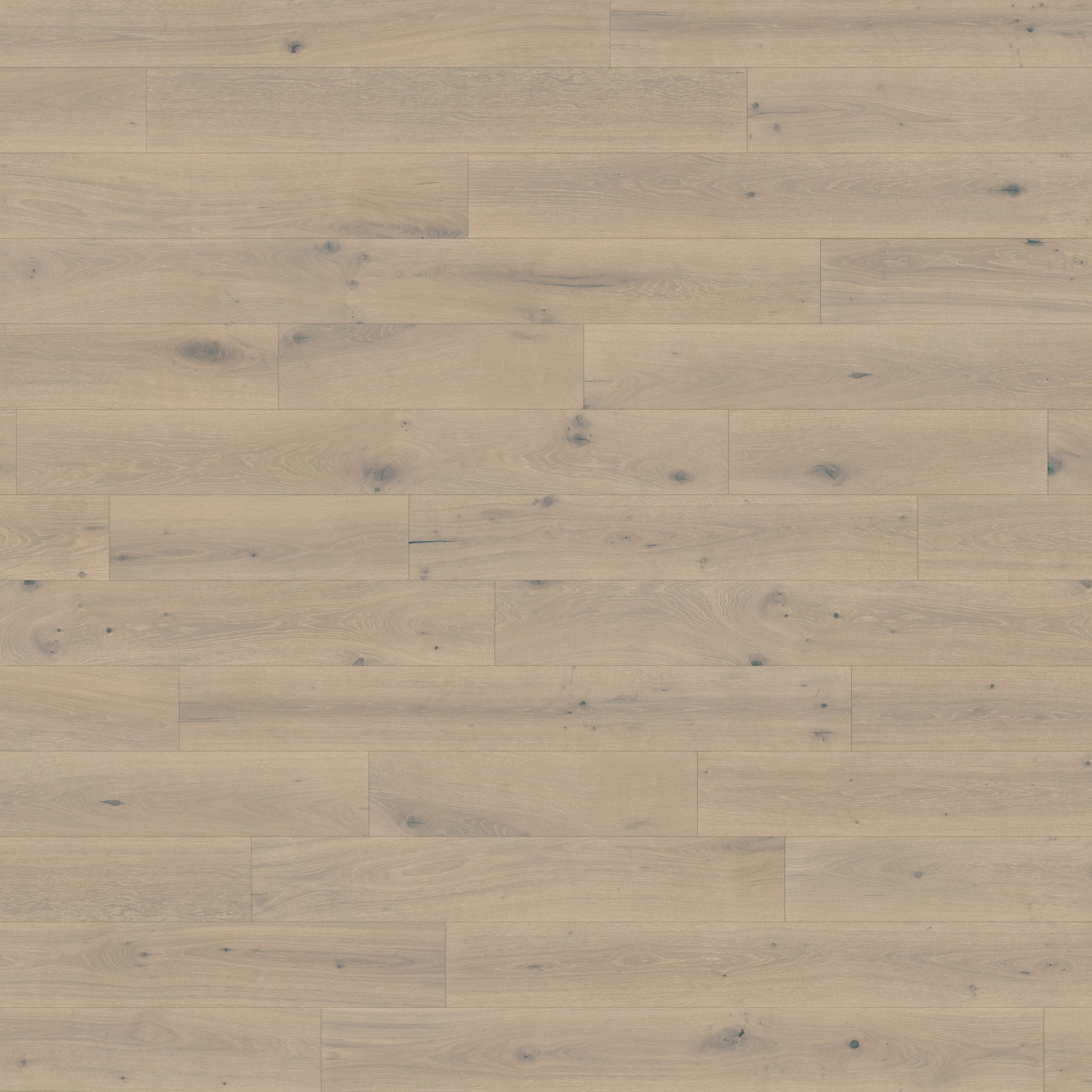 Surface de European Wood Collection Sable Revêtement de sol par European Company