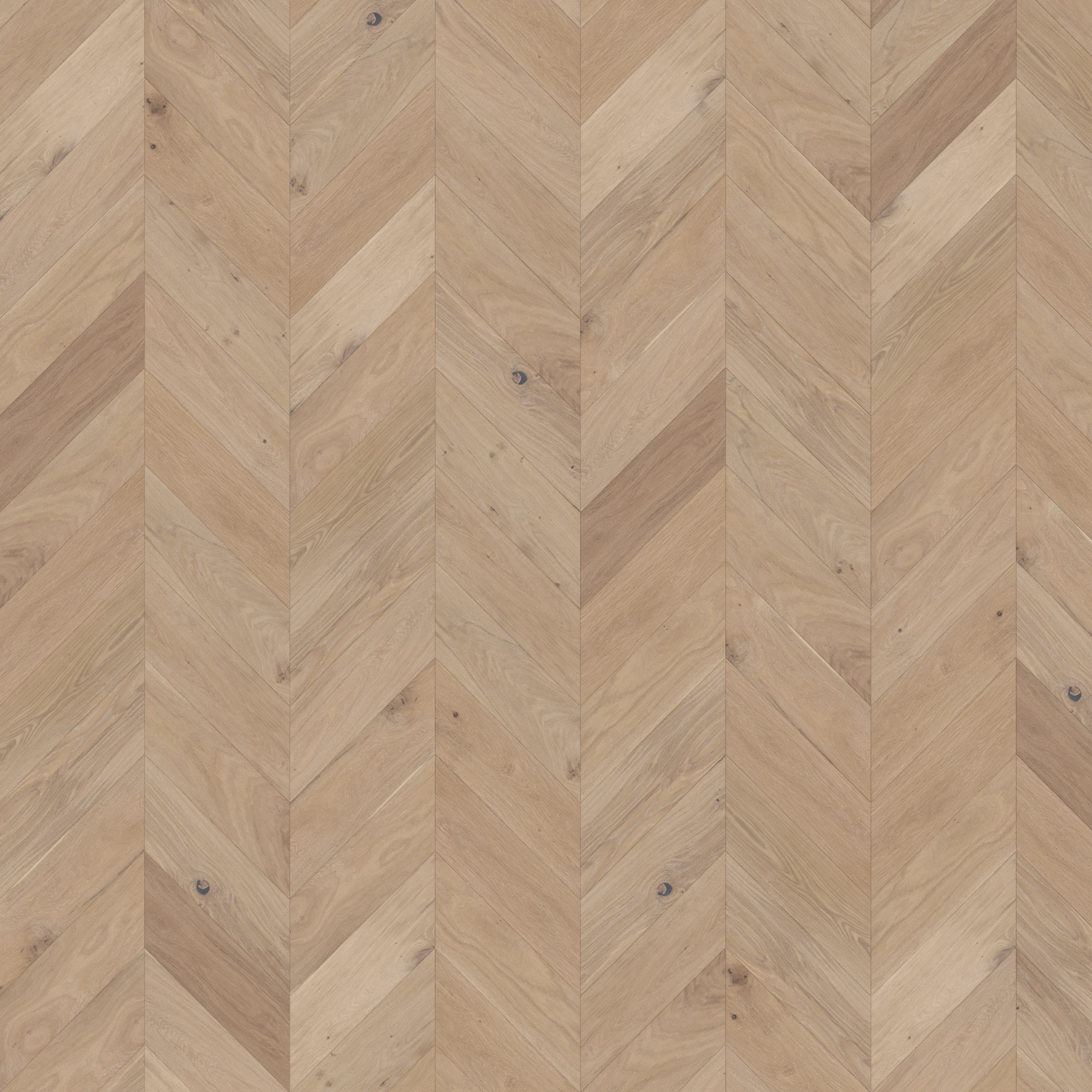 Eighteen Seventy Five M176034 Battersea︱Chevron Wood Floor Indoor Flooring surface by Real Wood Floors