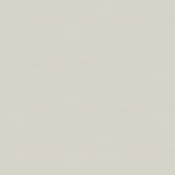 Ceragres Tornares Zumaia White Porcelain Tile Texture