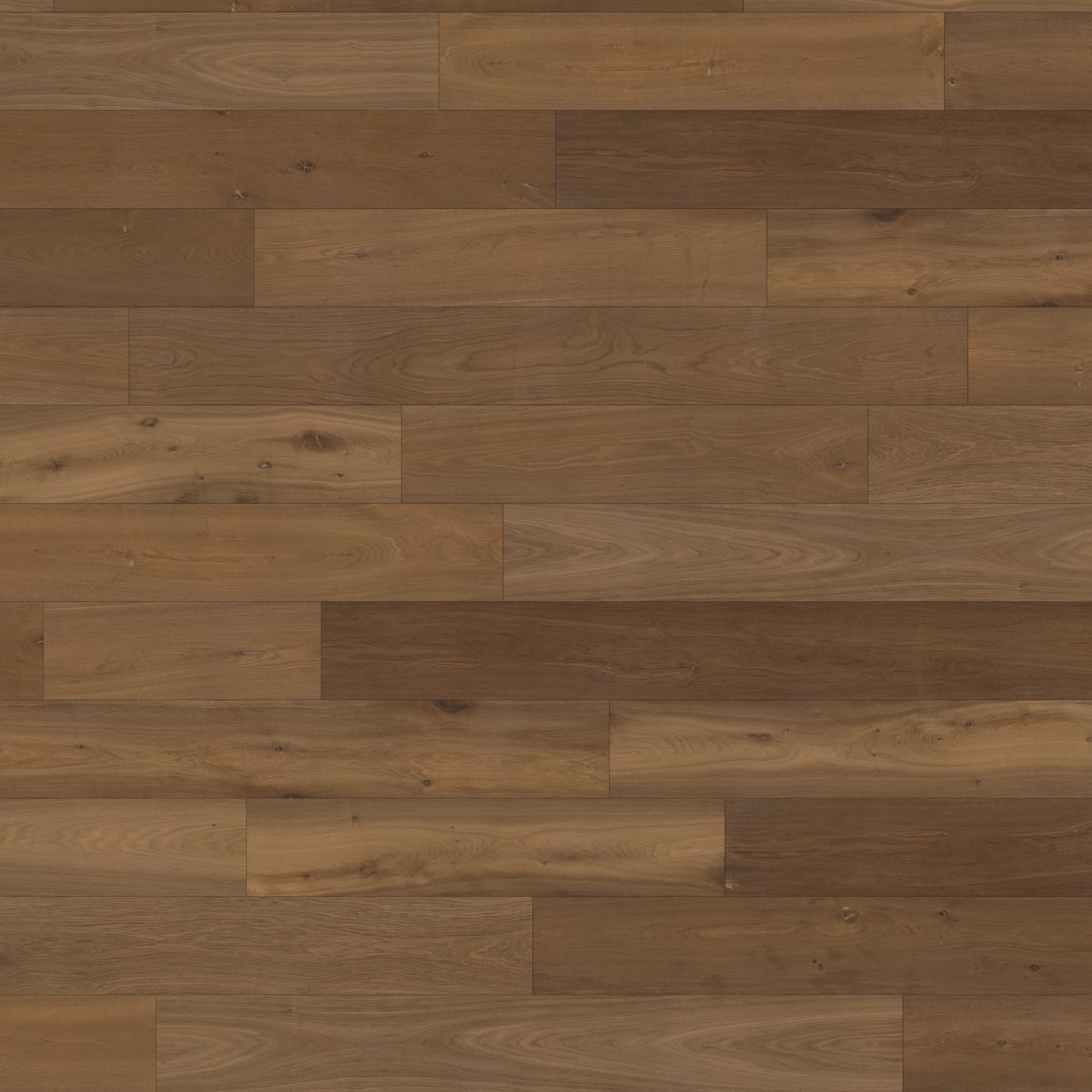 Apogee European Oak - Fengari 8.63" Wood Floor Indoor Flooring surface by Denali Hardwood Floors