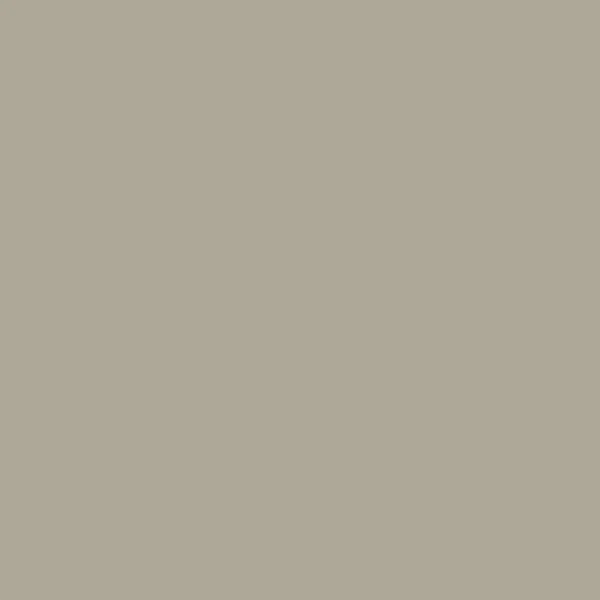 Sublime Polymère Silky Touch 729 Gris Nouveau Texture