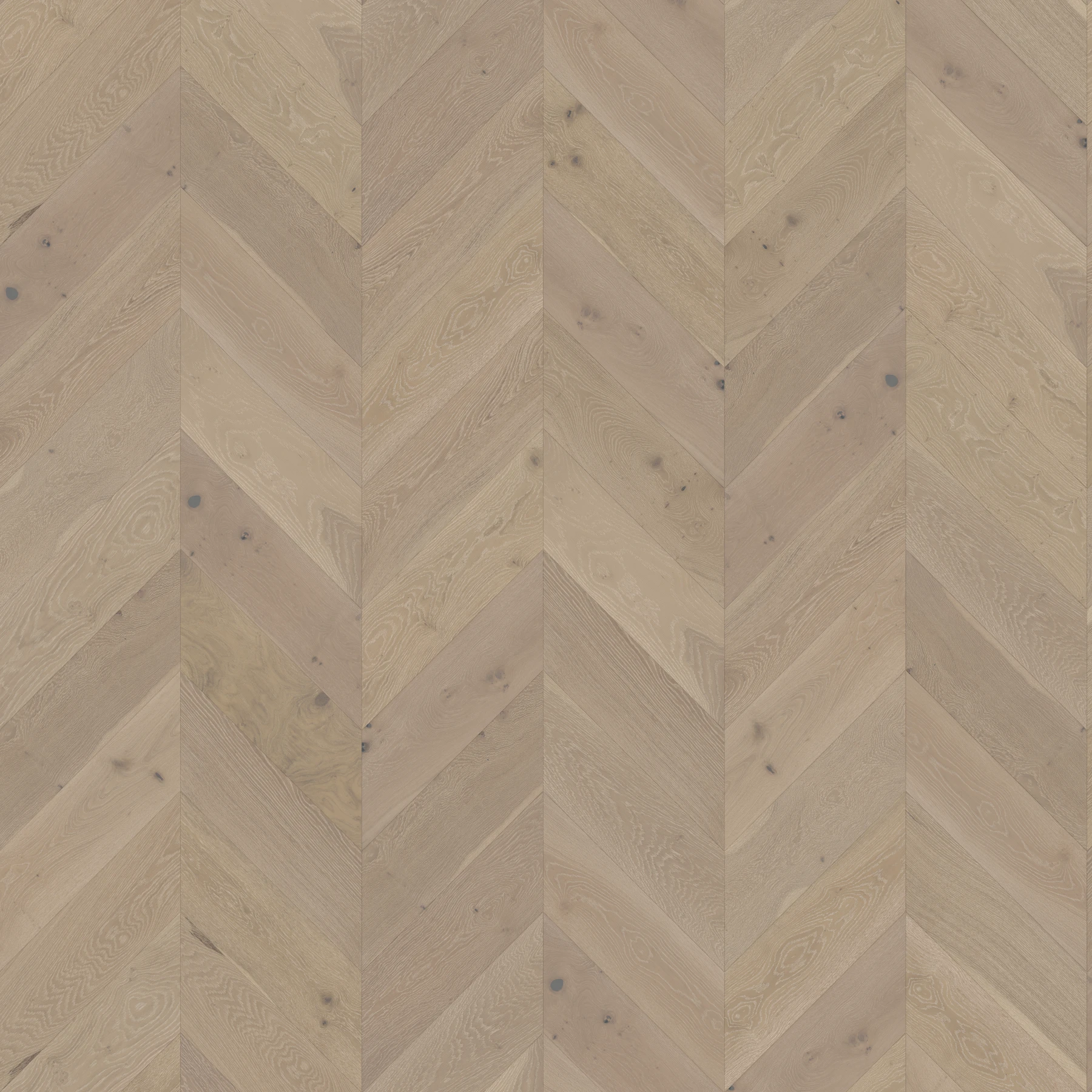 Surface de Killarney M176074 Kerry︱Chevron Couvre-plancher intérieur par Real Wood Floors