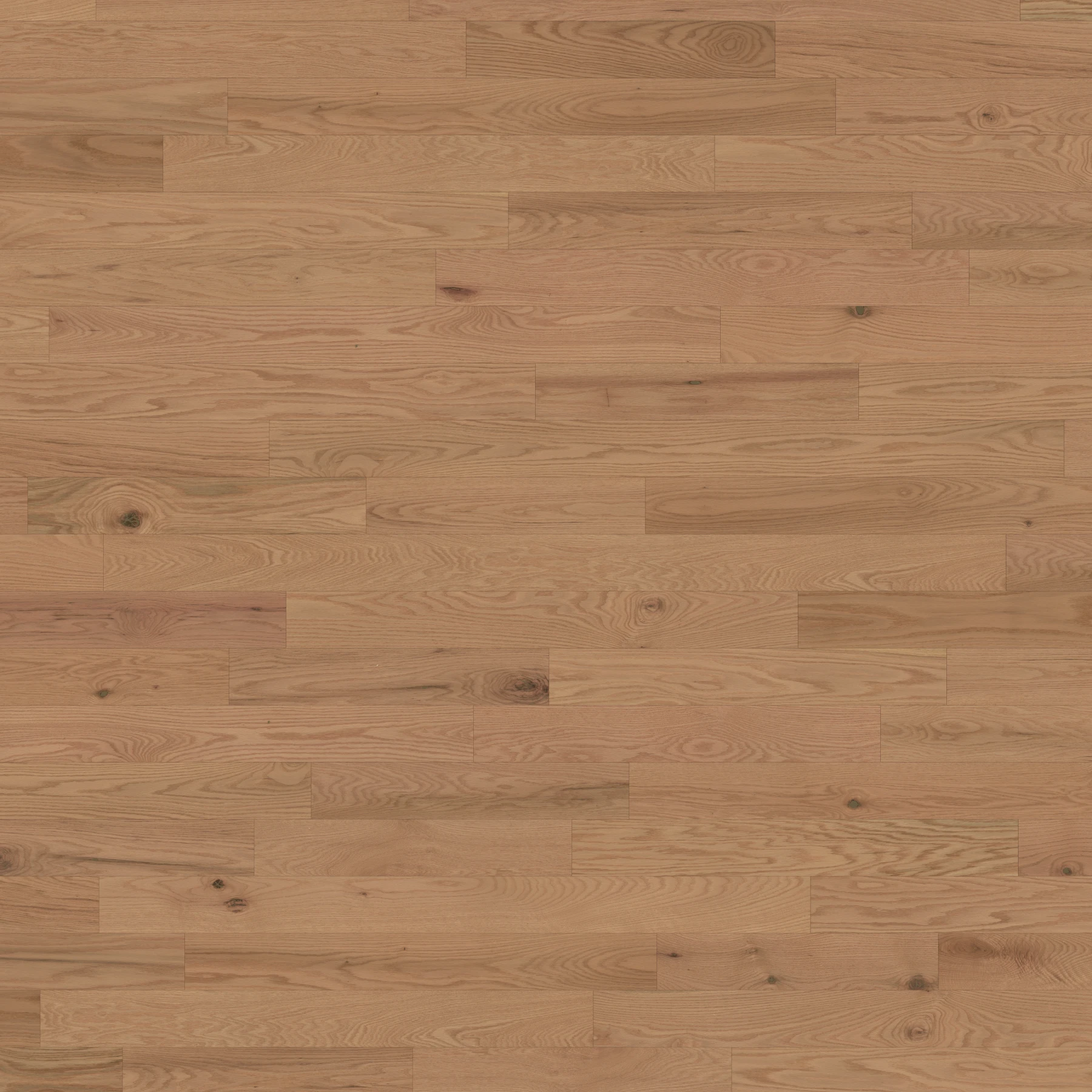 Surface de Chêne Greige Caractère Brossé Mat Revêtement de sol par Alexandra Hardwood Flooring