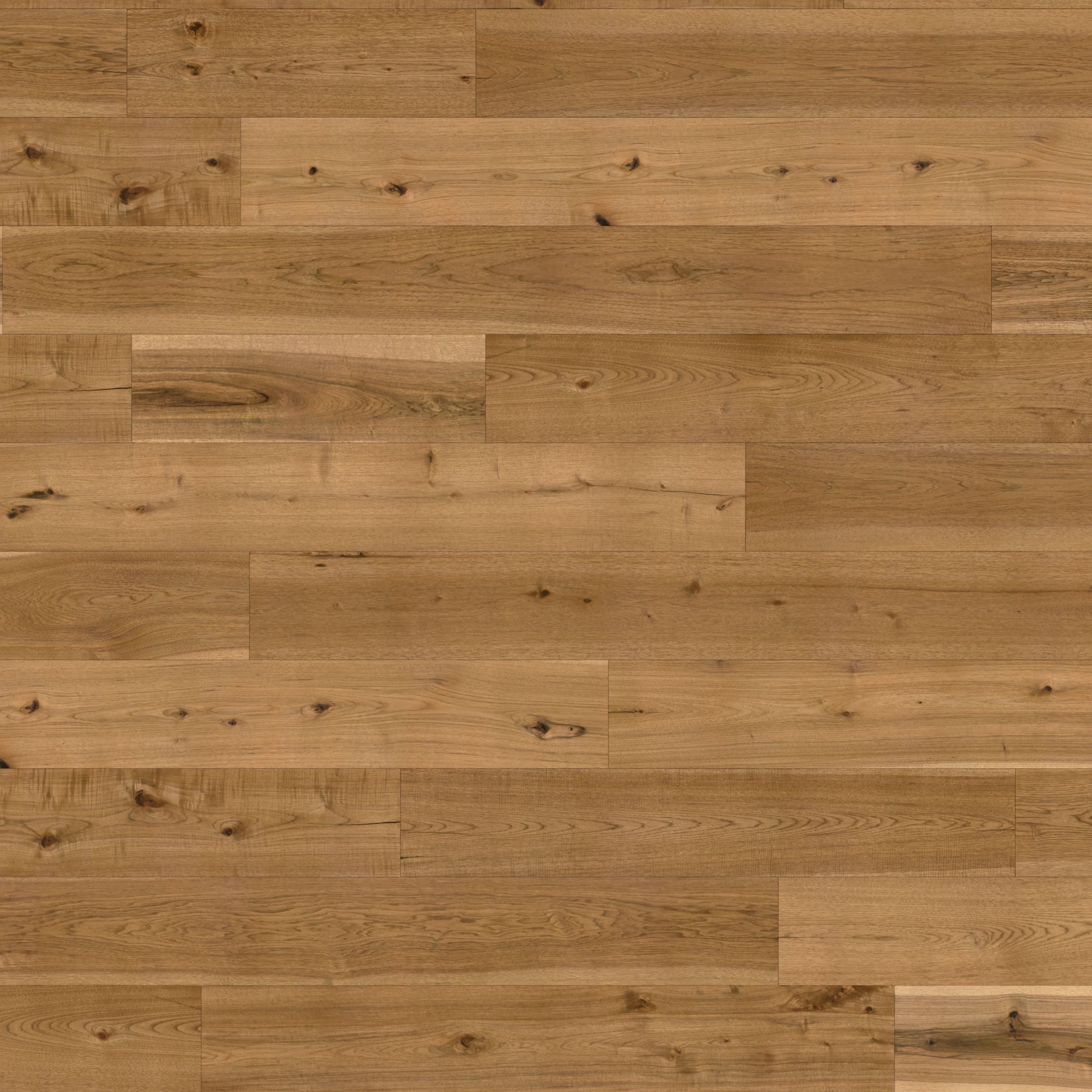 Cherokee Hickory - Cumberland 9.5" Wood Floor Indoor Flooring surface by Denali Hardwood Floors