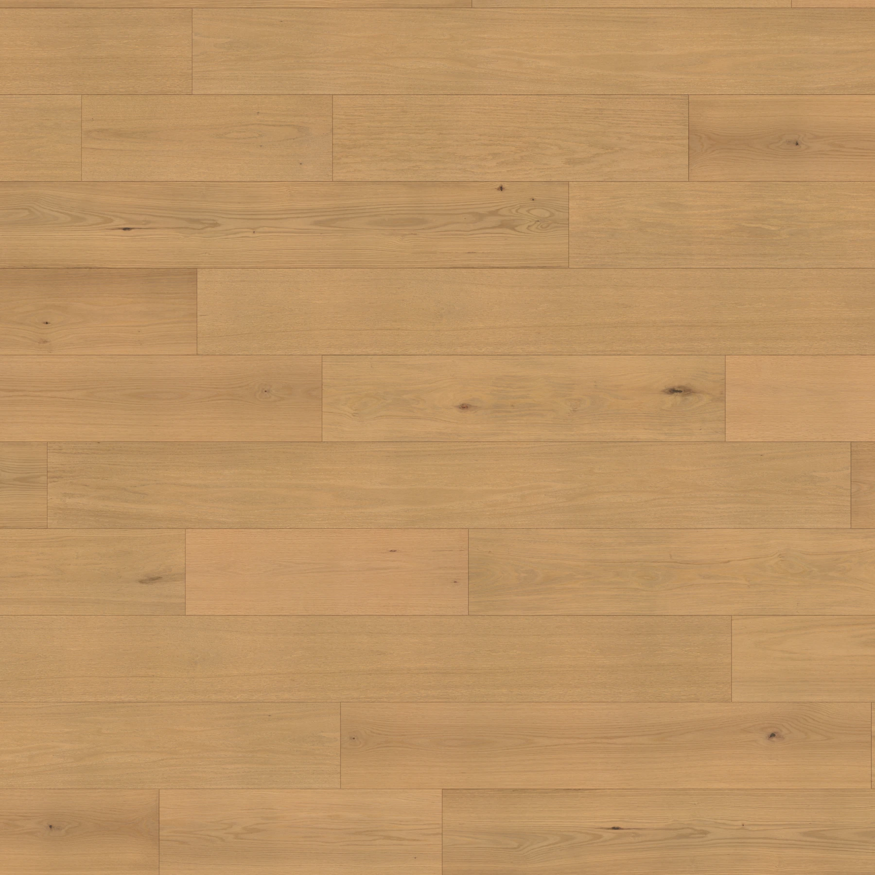 Eterna American Oak - Perennial 9.5" Wood Floor Indoor Flooring surface by Denali Hardwood Floors