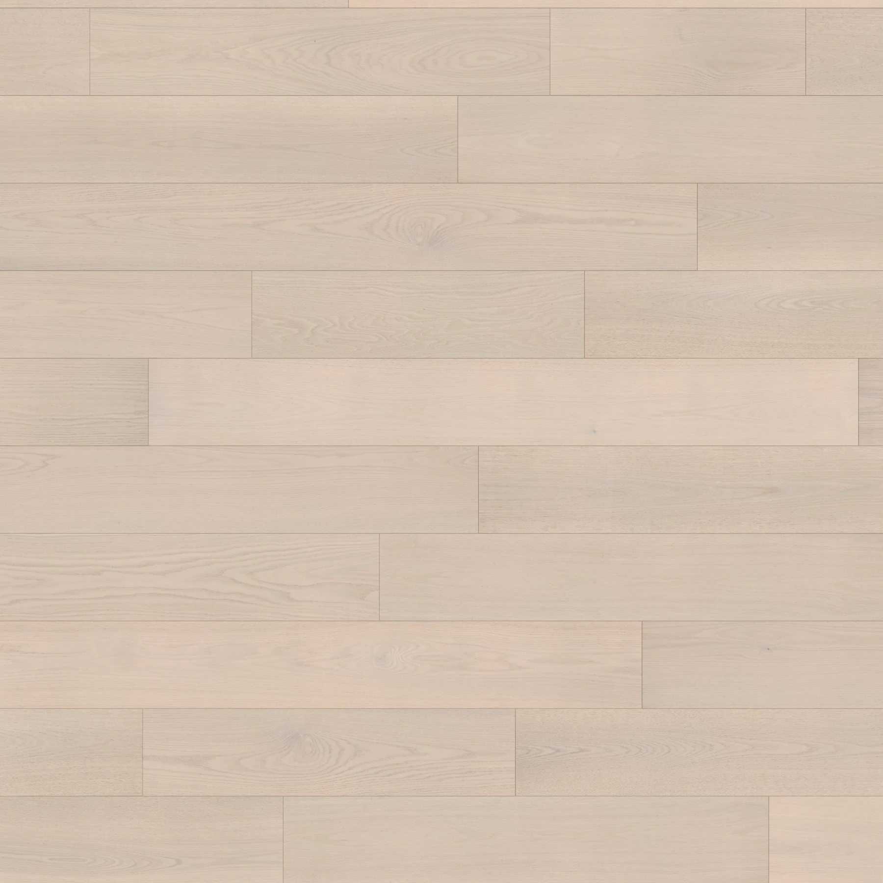 Eterna American Oak - Genesis 9.5" Wood Floor Indoor Flooring surface by Denali Hardwood Floors