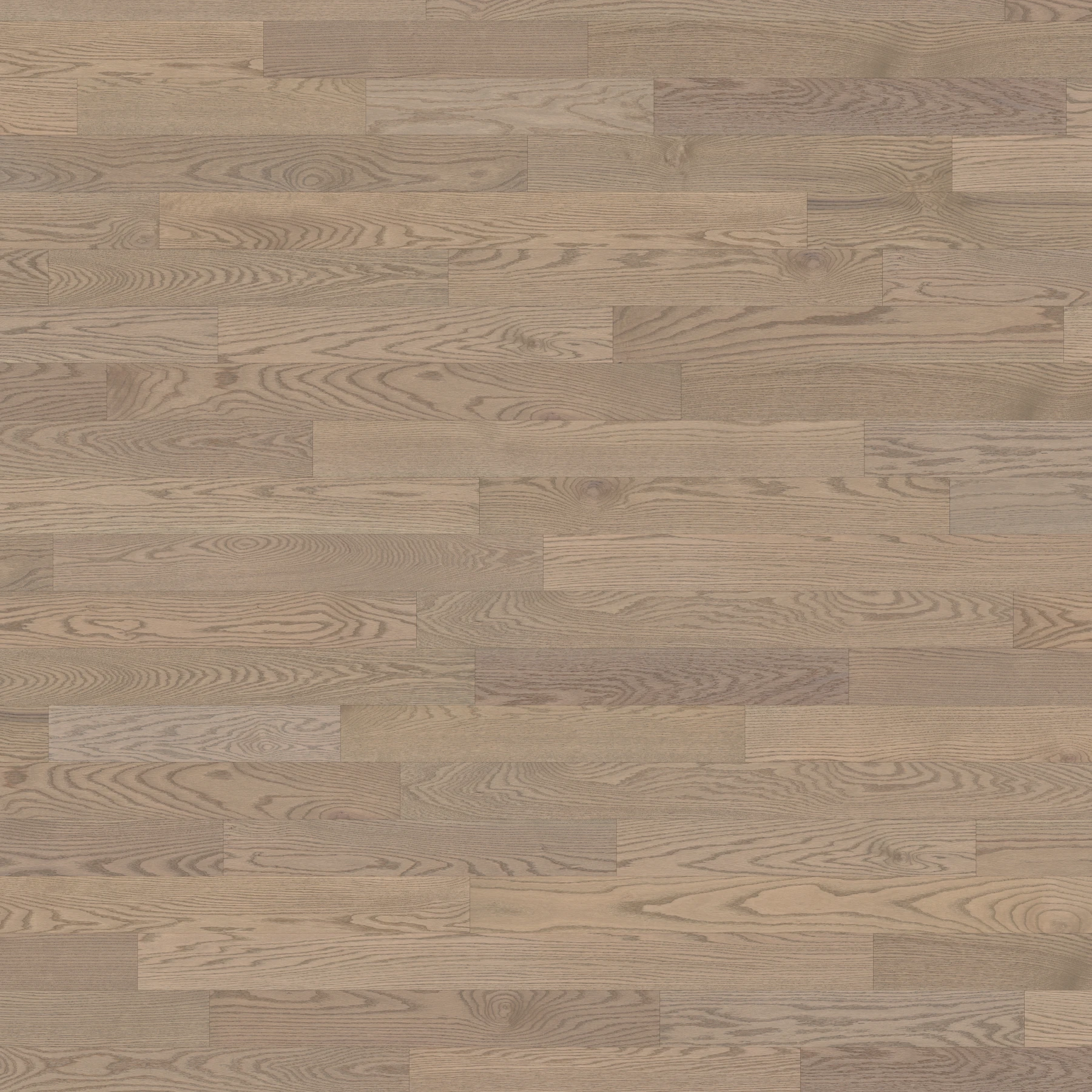Oak Taupe Select Brushed Matte Wood Floor Flooring surface by Alexandra Hardwood Flooring
