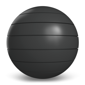 Western States Metal Roofing Charcoal Gray Western Reveal 1.0