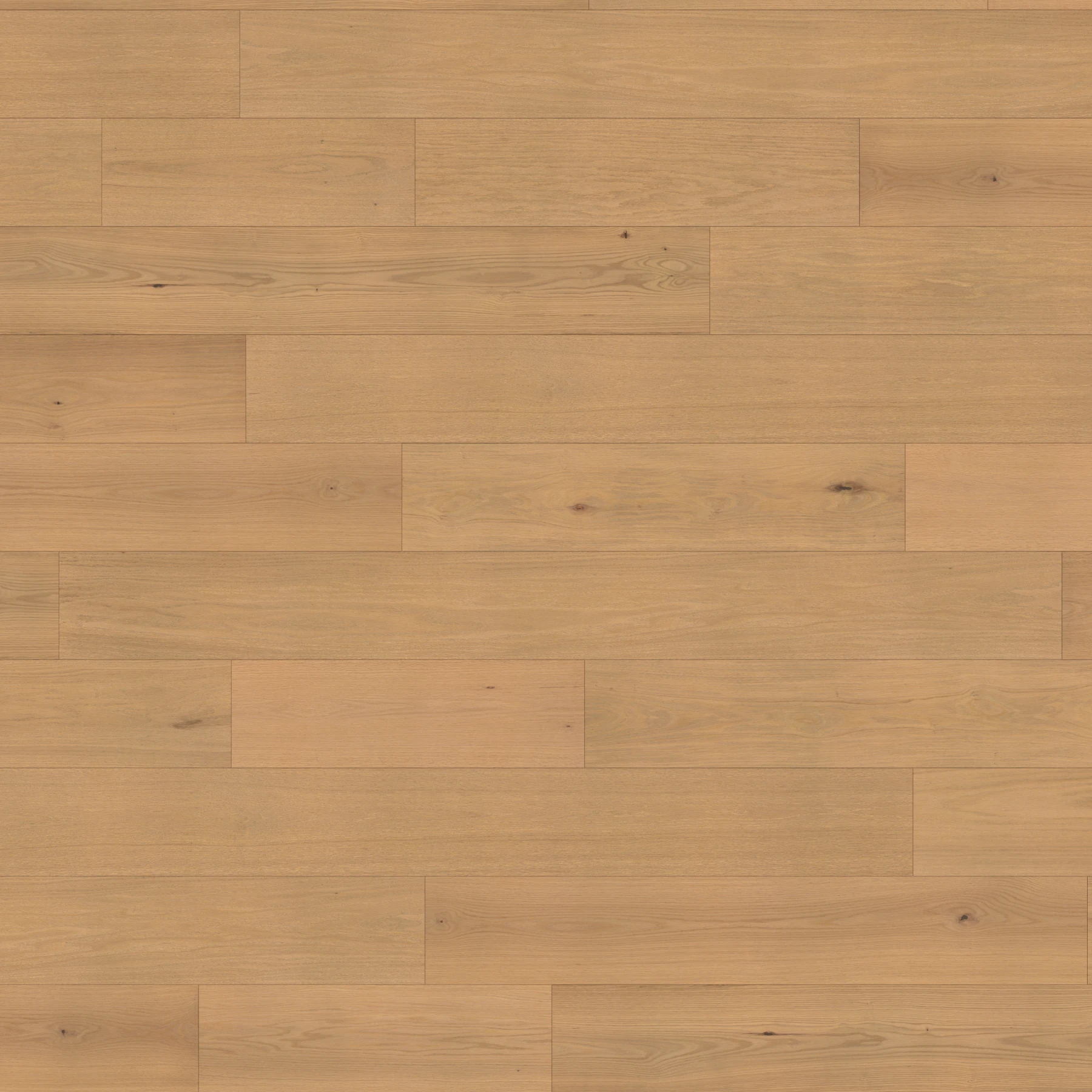 Surface de Eterna American Oak - Perennial 9.5" Couvre-plancher intérieur par Denali Hardwood Floors