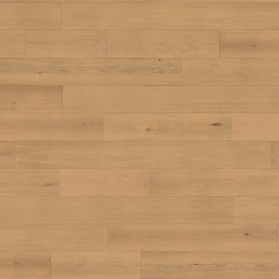 eterna-american-oak-perennial-dh-p240115403-9-5po