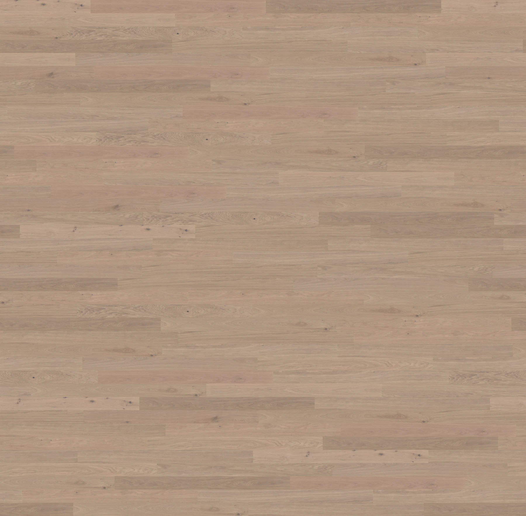 Viken 310020 - Misty White Engineered Wood Floor Flooring surface by Goodfellow