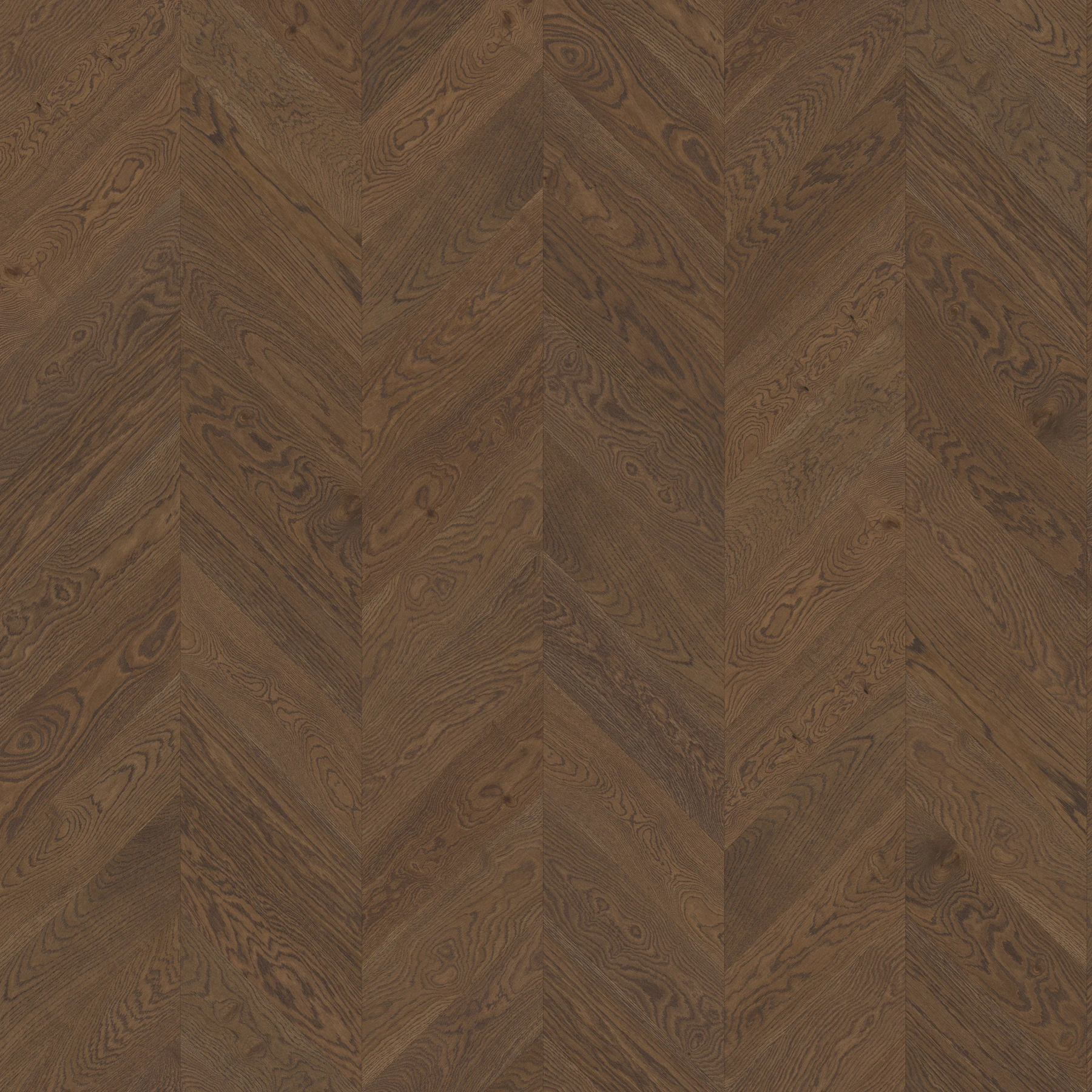 Surface de Eighteen Seventy-Five M197543 Stockwell︱Chevron Couvre-plancher intérieur par Real Wood Floors