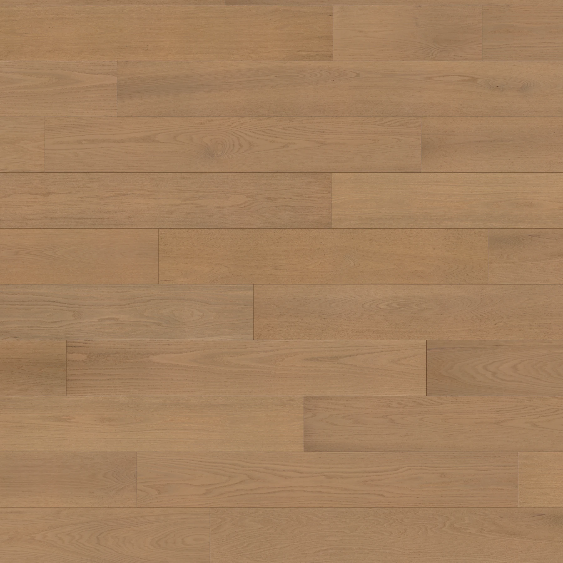 Eterna American Oak - Aura 9.5" Wood Floor Indoor Flooring surface by Denali Hardwood Floors