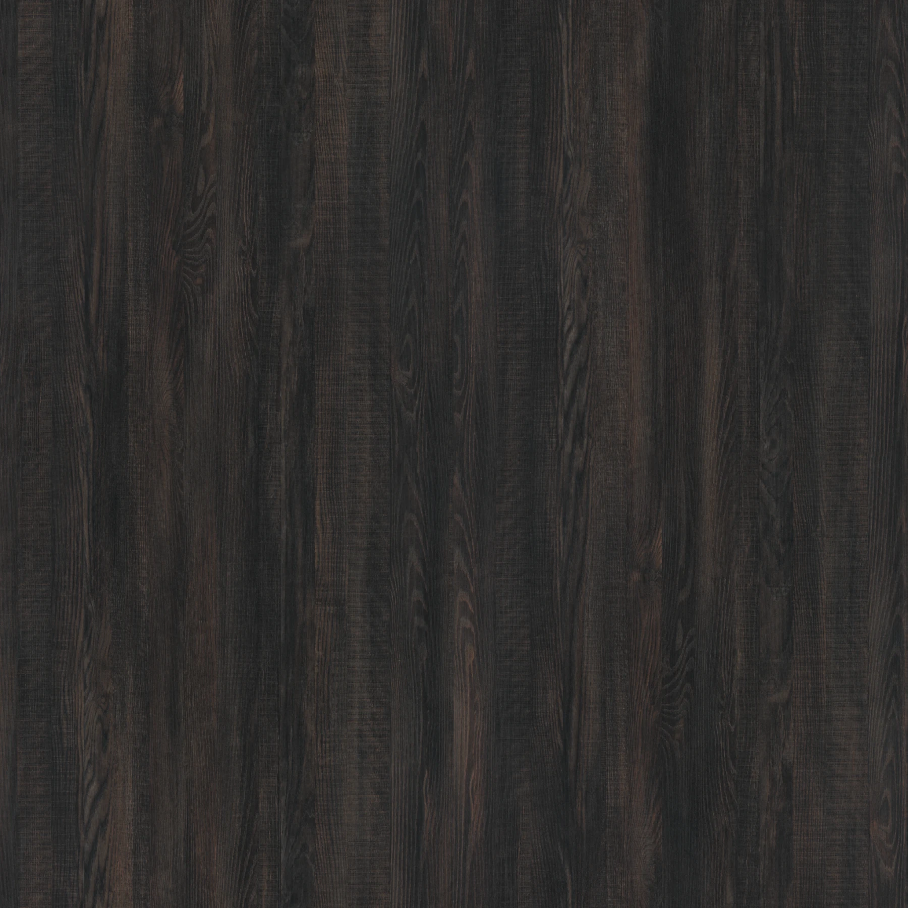 Surface de Morchella Hunt Armoire par Pionite a Panolam Brand