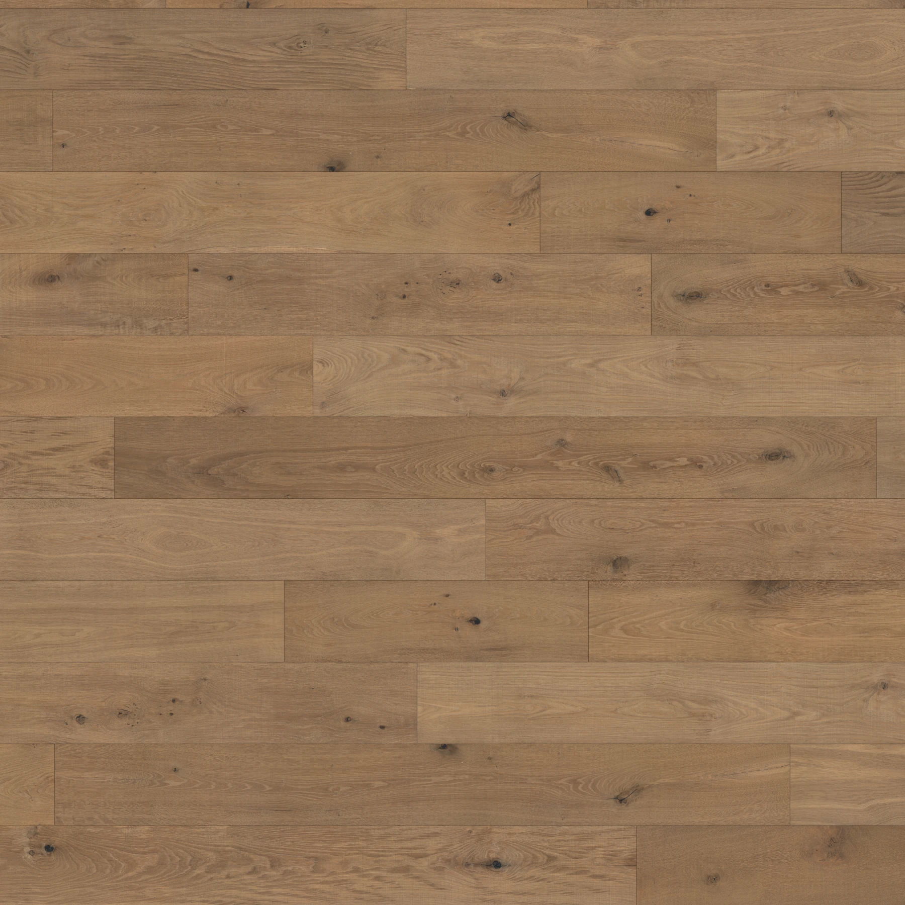 Renaissance European Oak - Vasari 8.625" Wood Floor Indoor Flooring surface by Denali Hardwood Floors