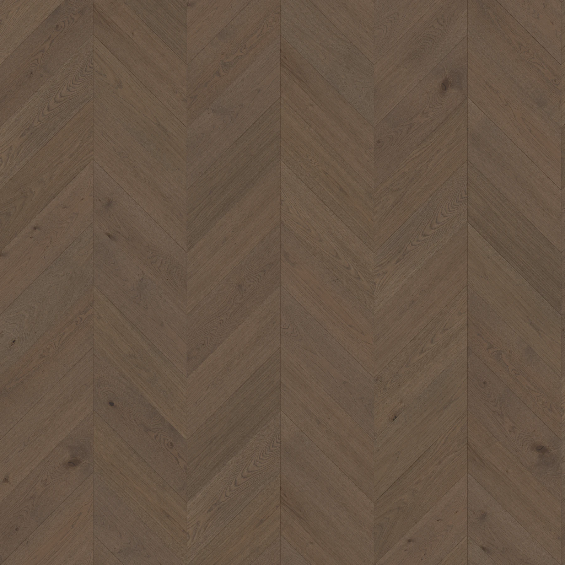 Velasario M195912 Corrante︱Chevron Wood Floor Indoor Flooring surface by Real Wood Floors