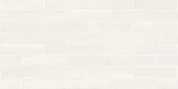 4earth-warm-glossy-3x12