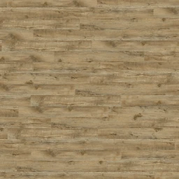palmera-2667-honopu