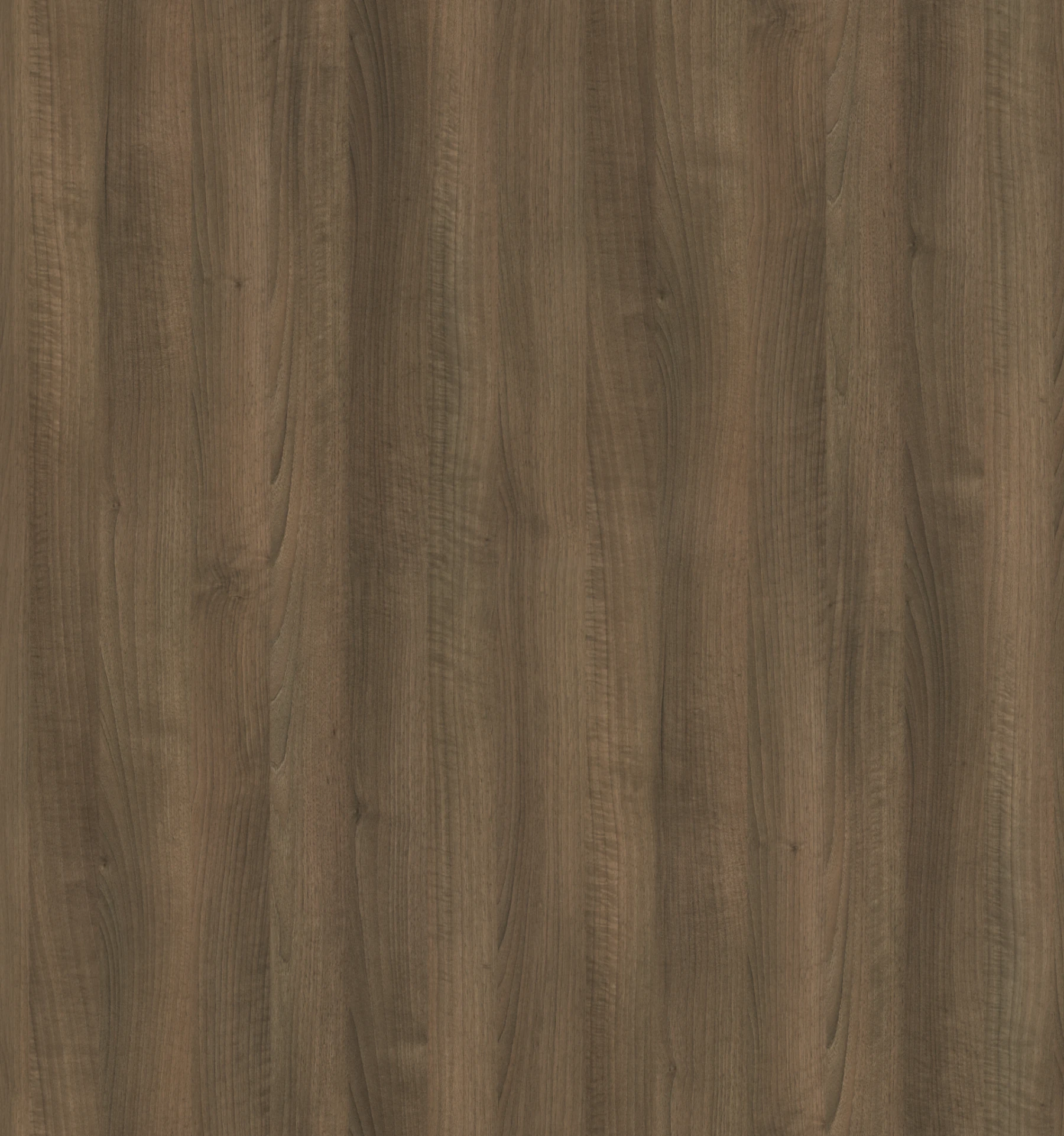 Windward Walnut Woodgrain Laminate Cabinets surface by Pionite a Panolam Brand