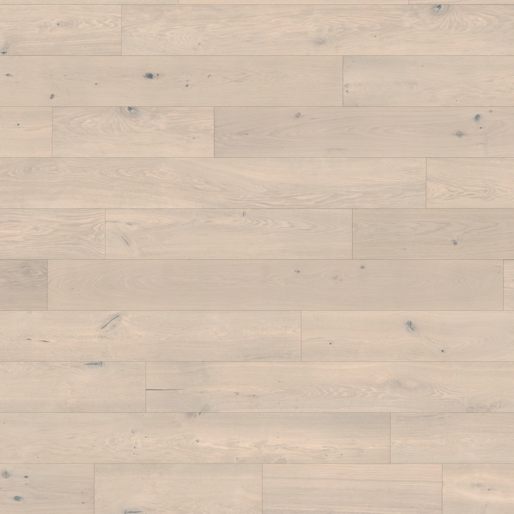 Apogee European Oak - Stavros 9.5" Wood Floor Indoor Flooring surface by Denali Hardwood Floors