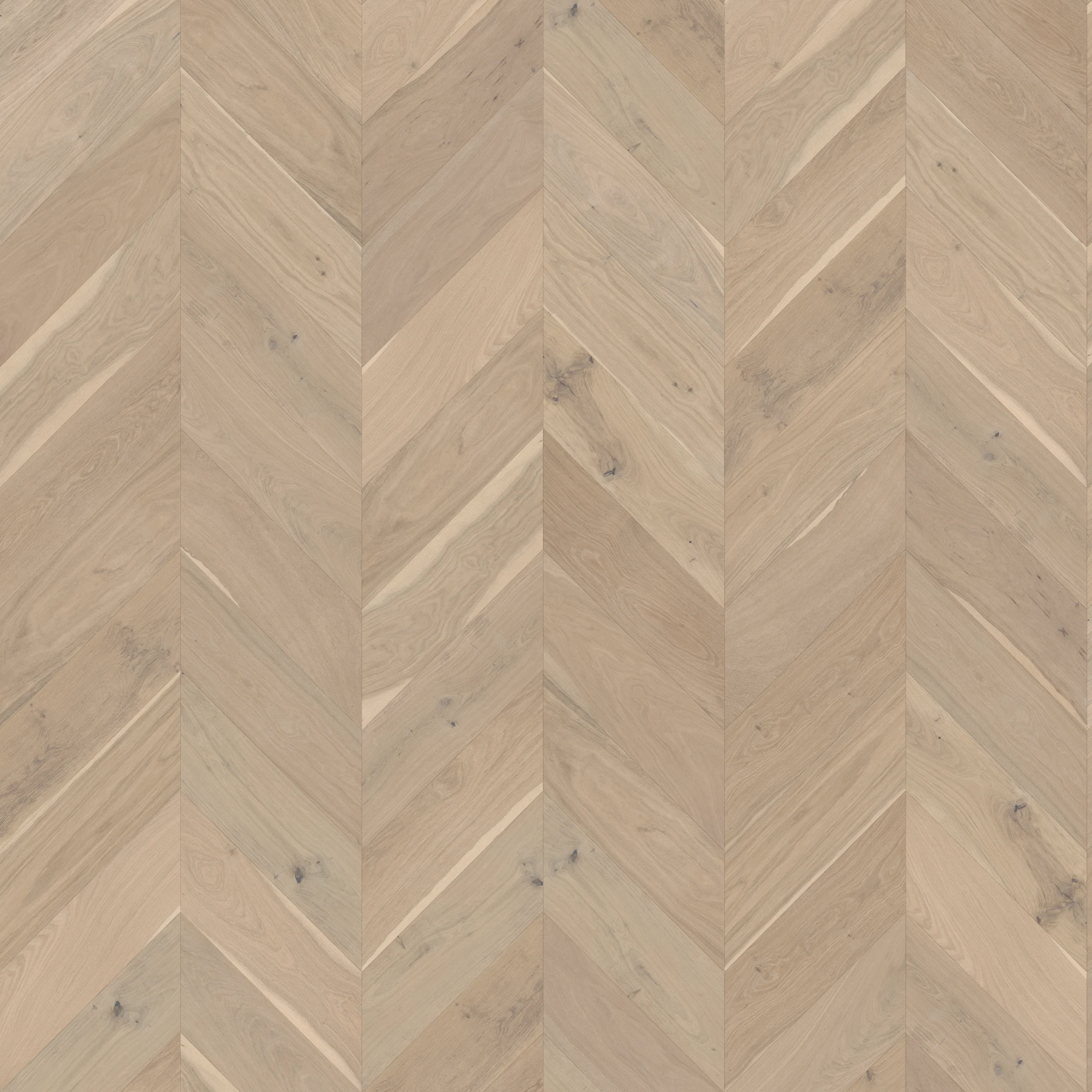 Killarney M176077 Kells︱Chevron Wood Floor Indoor Flooring surface by Real Wood Floors