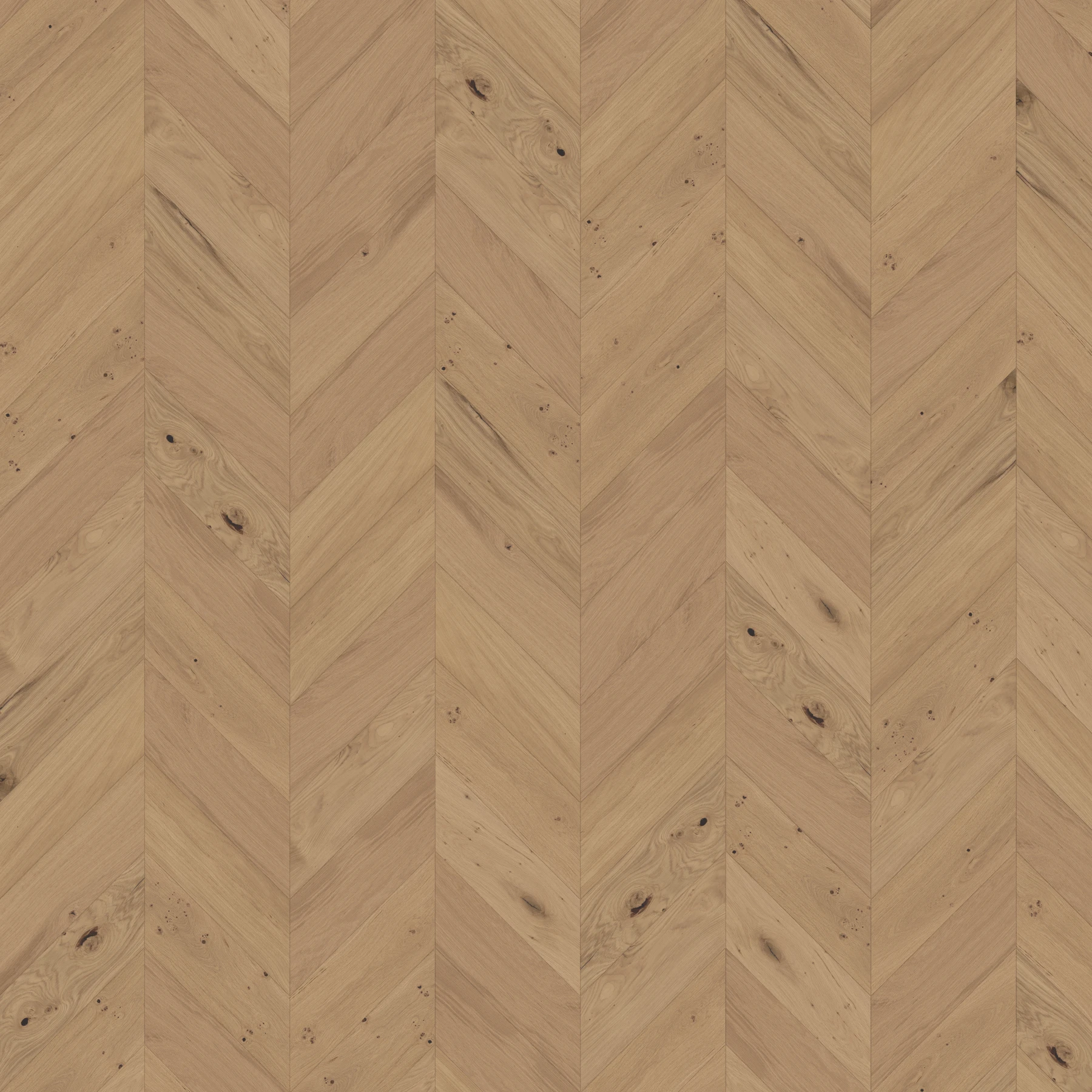 Eighteen Seventy Five M111808 Putney︱Chevron Wood Floor Indoor Flooring surface by Real Wood Floors