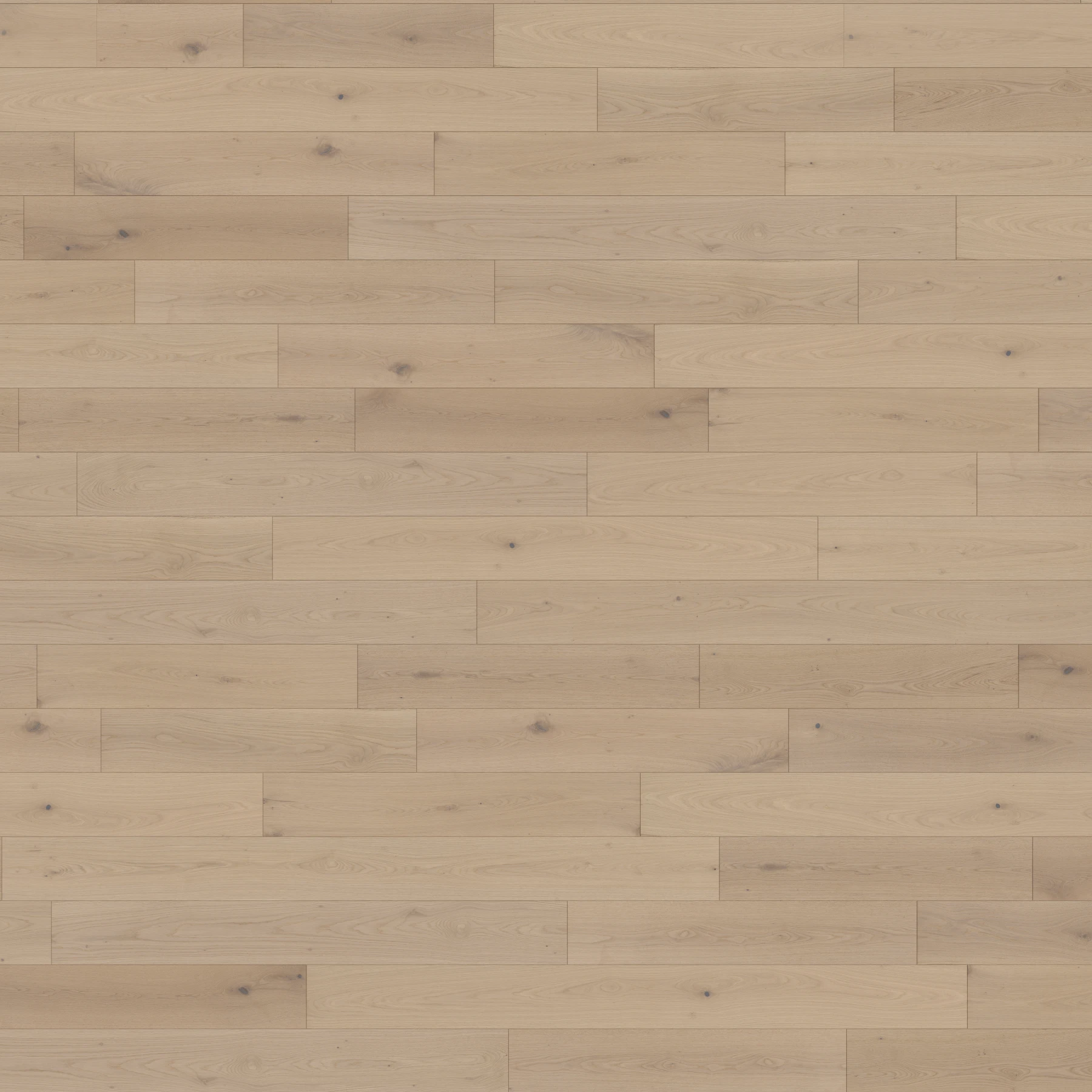 Surface de Velasario M195908 Regatta︱Plank Couvre-plancher intérieur par Real Wood Floors
