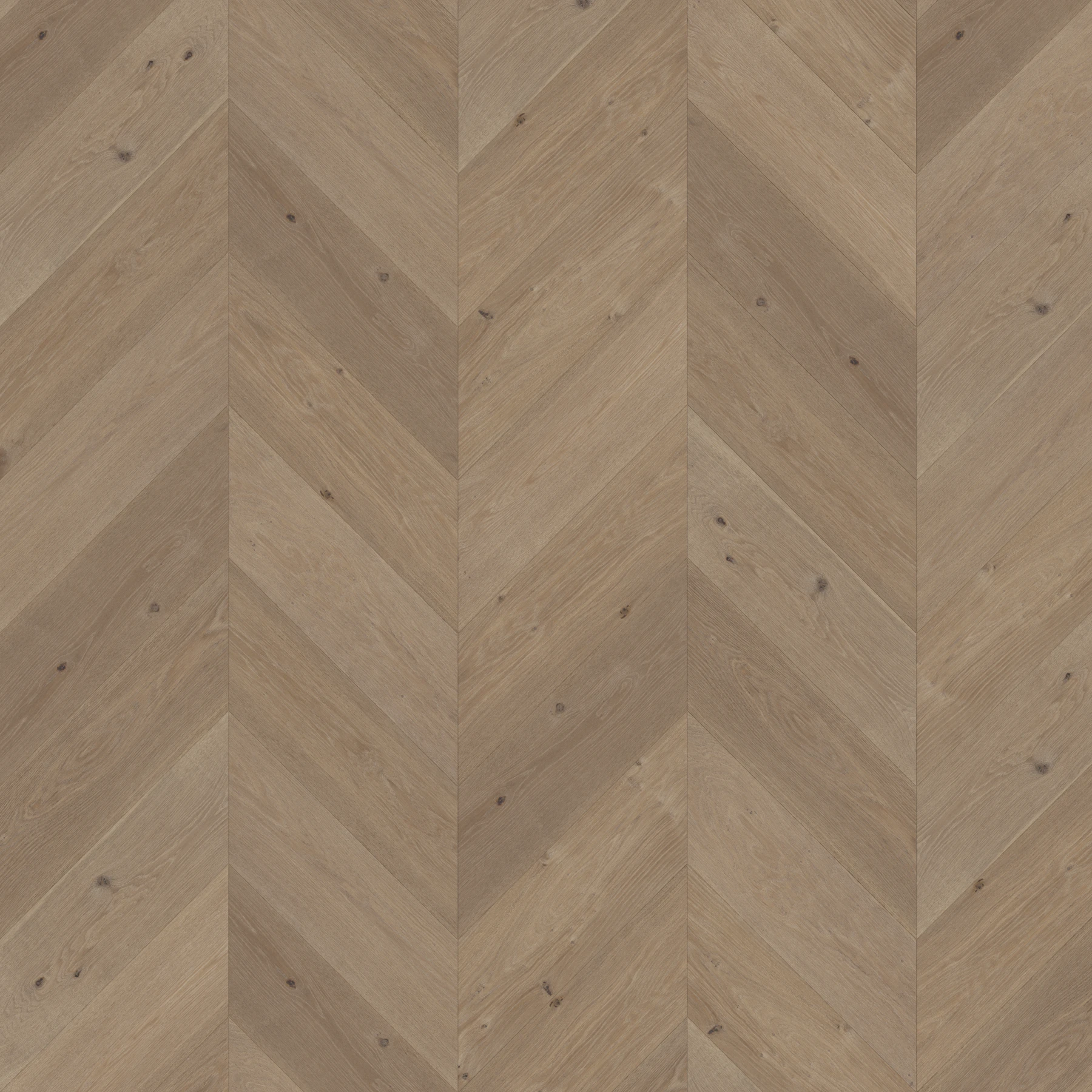 Bowland Fells M188329 Stonyhurst︱Chevron Wood Floor Indoor Flooring surface by Real Wood Floors
