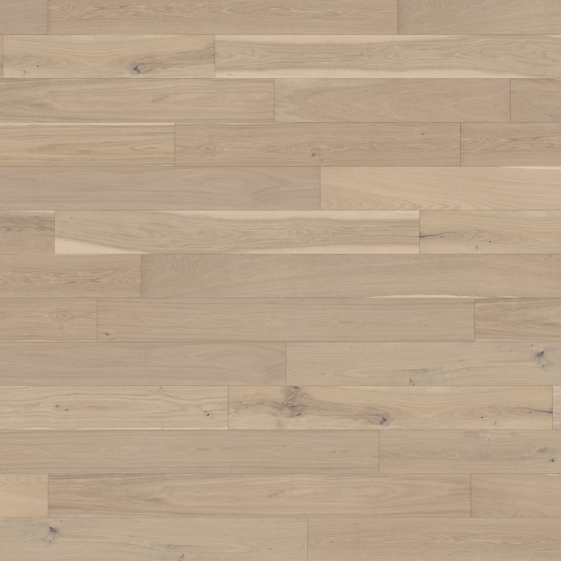 Surface de Killarney M176077 Kells︱Plank Couvre-plancher intérieur par Real Wood Floors