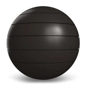 Western States Metal Roofing Dark Bronze Western Reveal 1.0