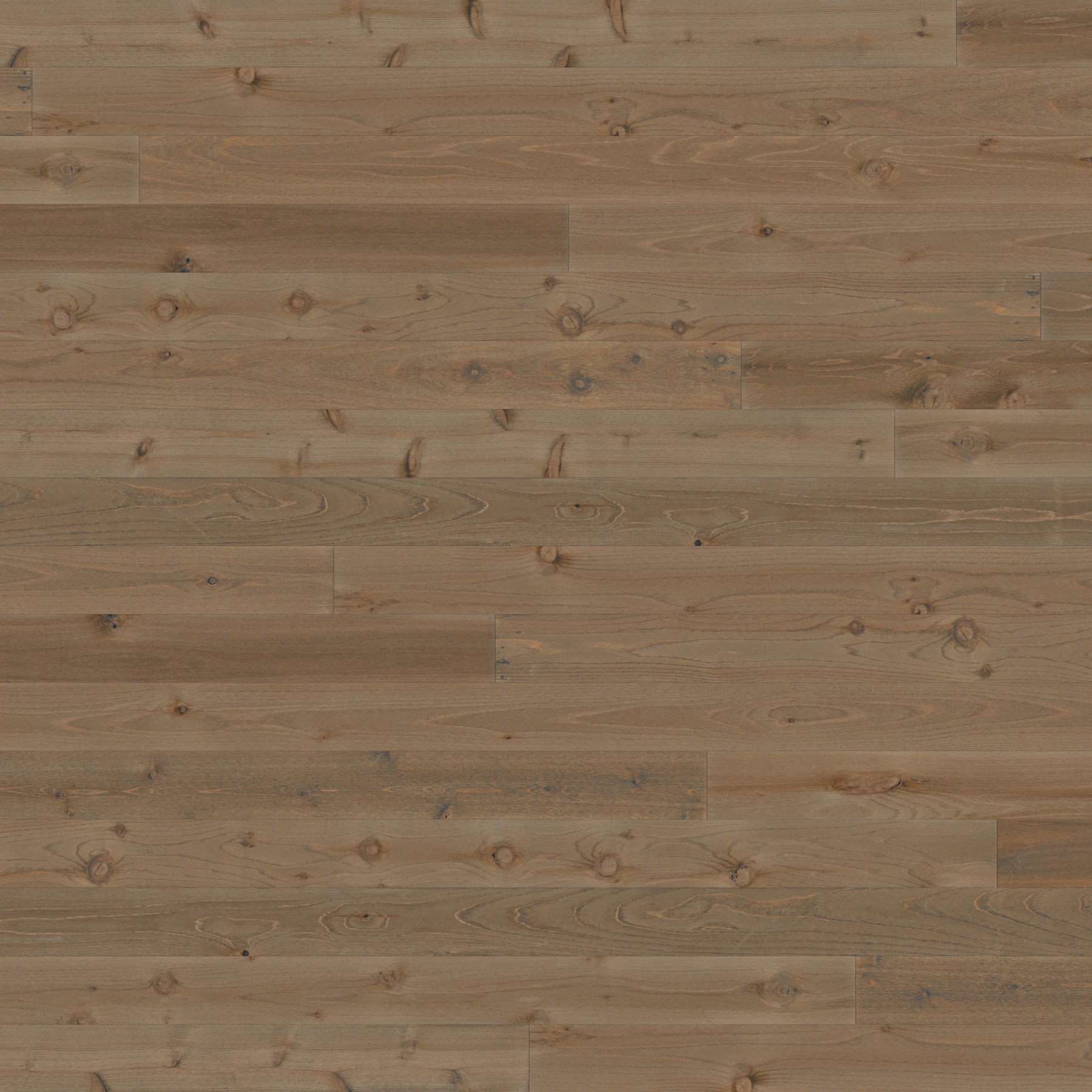 Surface de Aquafir Cedar Owyhee Smooth Shiplap Plafond et soffite extérieurs par Montana Timber Products