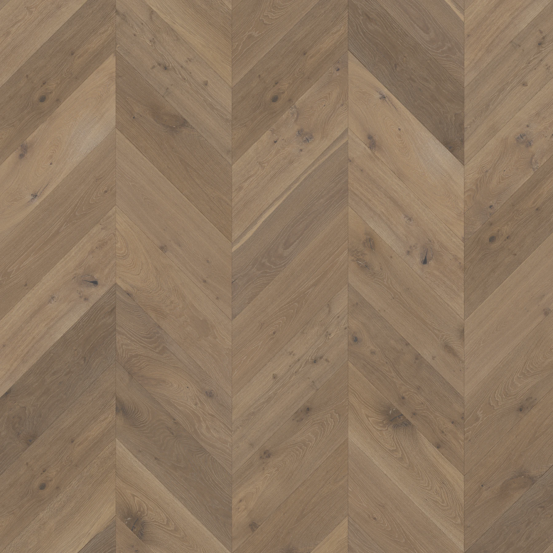 Surface de Bowland Fells M188327 Marshaw︱Chevron Couvre-plancher intérieur par Real Wood Floors
