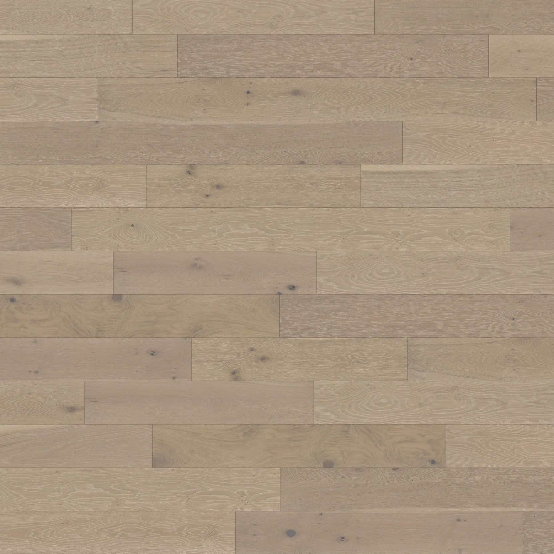 Killarney M176074 Kerry︱Plank Wood Floor Indoor Flooring surface by Real Wood Floors