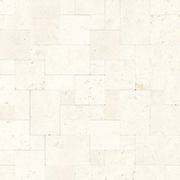 European Company European Stone Collection Shellstone Texture