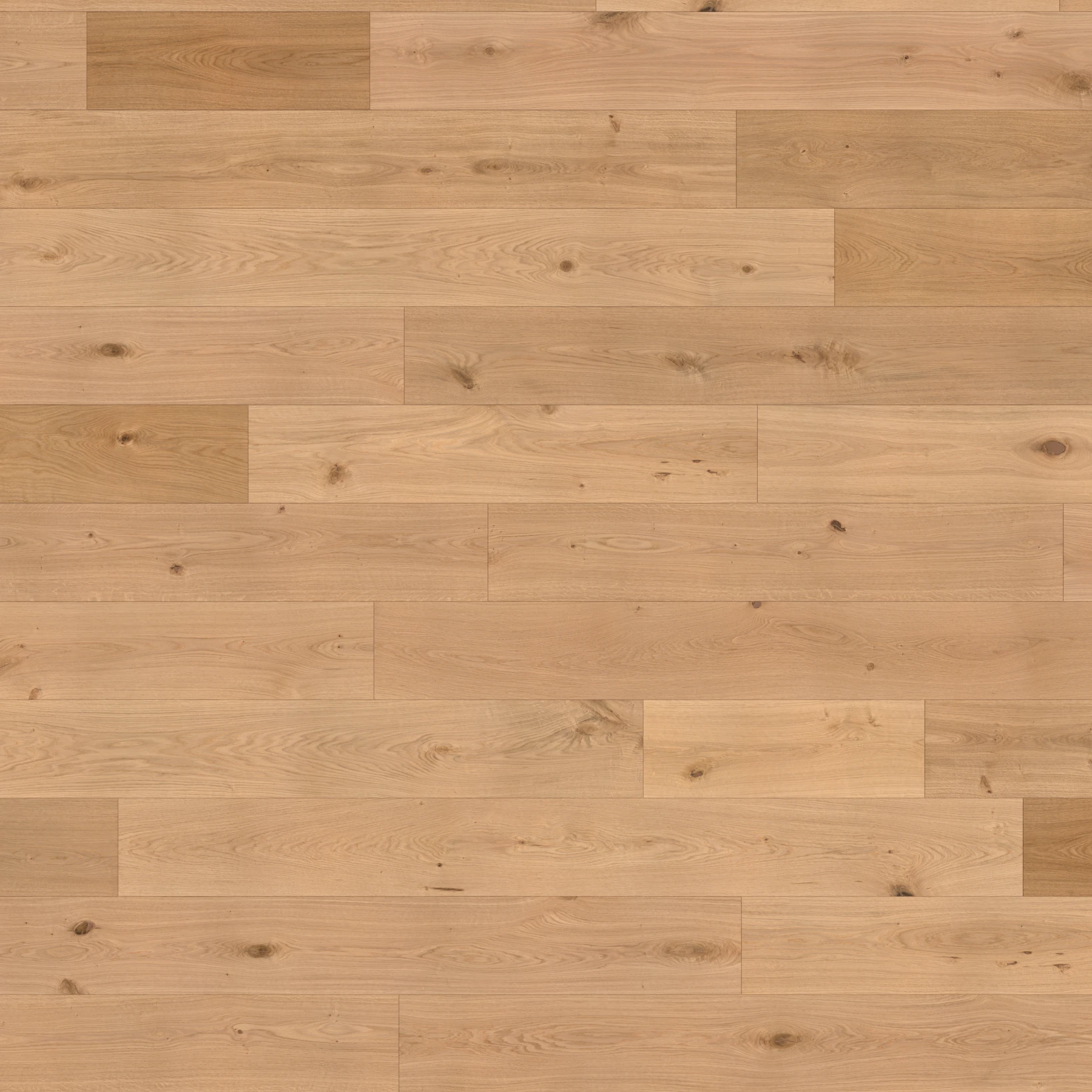 Apogee European Oak - Malpaso 8.63" Wood Floor Indoor Flooring surface by Denali Hardwood Floors